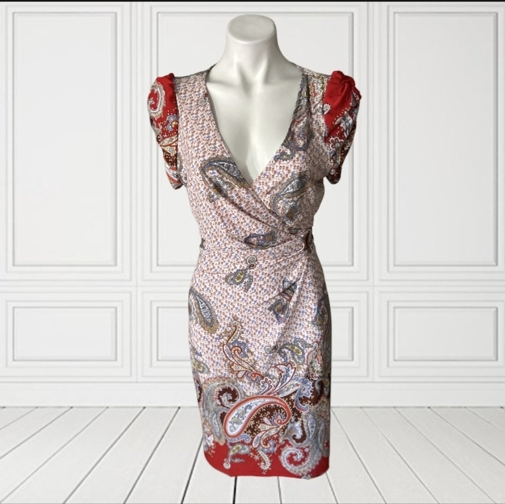 Rubber Ducky Paisley Wrap Dress with Red Accents Large